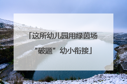 这所幼儿园用绿茵场“破题”幼小衔接