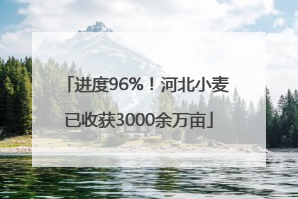进度96%！河北小麦已收获3000余万亩