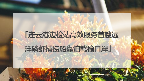 连云港边检站高效服务首艘远洋磷虾捕捞船靠泊赣榆口岸