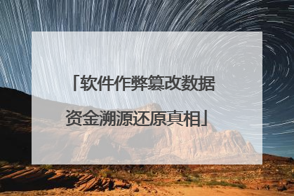 软件作弊篡改数据 资金溯源还原真相
