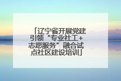 辽宁省开展党建引领“专业社工+志愿服务”融合试点社区建设培训