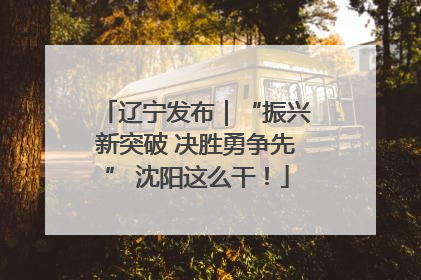 辽宁发布｜“振兴新突破 决胜勇争先” 沈阳这么干！