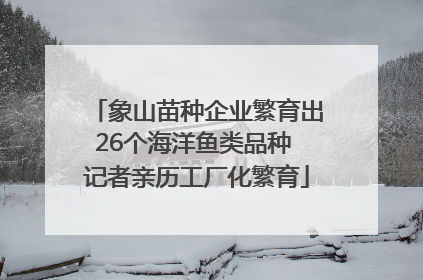 象山苗种企业繁育出26个海洋鱼类品种 记者亲历工厂化繁育