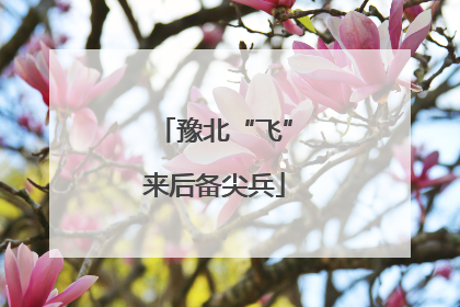 豫北“飞”来后备尖兵