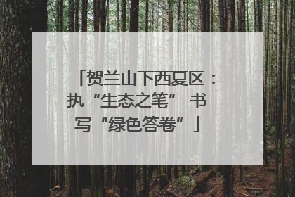 贺兰山下西夏区：执“生态之笔” 书写“绿色答卷”