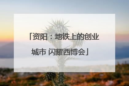 资阳：地铁上的创业城市 闪耀西博会