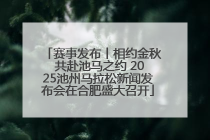 赛事发布丨相约金秋 共赴池马之约 2025池州马拉松新闻发布会在合肥盛大召开