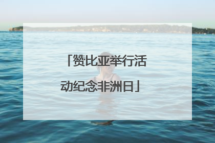 赞比亚举行活动纪念非洲日