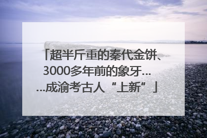 超半斤重的秦代金饼、3000多年前的象牙……成渝考古人“上新”