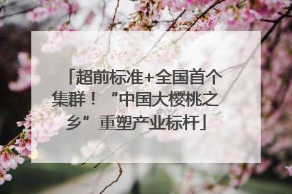 超前标准+全国首个集群！“中国大樱桃之乡”重塑产业标杆