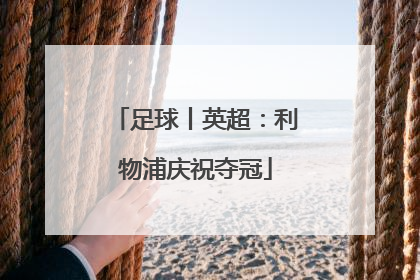 足球丨英超：利物浦庆祝夺冠