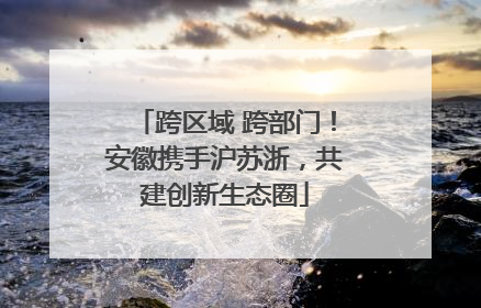 跨区域 跨部门！安徽携手沪苏浙，共建创新生态圈