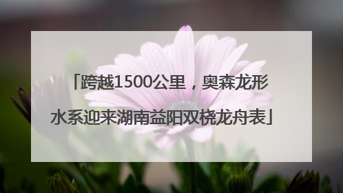 跨越1500公里，奥森龙形水系迎来湖南益阳双桡龙舟表