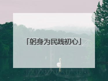 躬身为民践初心