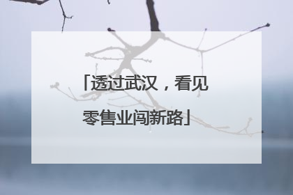 透过武汉，看见零售业闯新路