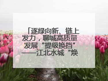 逐绿向新、链上发力，聊城高质量发展“提级换挡”——江北水城“焕新”记