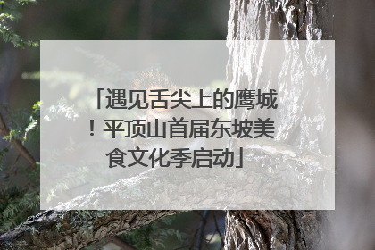 遇见舌尖上的鹰城！平顶山首届东坡美食文化季启动