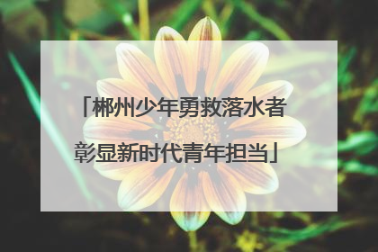 郴州少年勇救落水者 彰显新时代青年担当