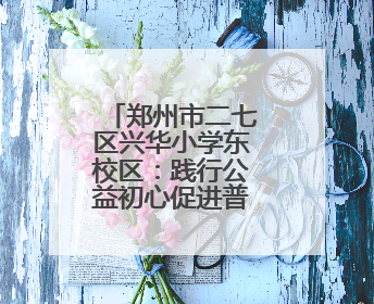 郑州市二七区兴华小学东校区：践行公益初心促进普特教育融合