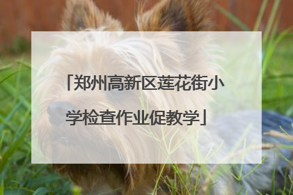 郑州高新区莲花街小学检查作业促教学