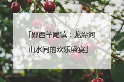 郧西羊尾镇：龙潭河山水间的欢乐盛宴