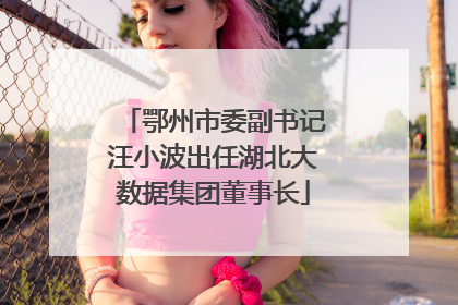 鄂州市委副书记汪小波出任湖北大数据集团董事长