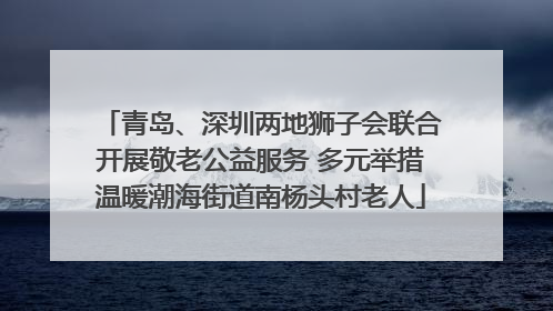 青岛、深圳两地狮子会联合开展敬老公益服务 多元举措温暖潮海街道南杨头村老人