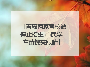 青岛两家驾校被停止招生 市民学车请擦亮眼睛
