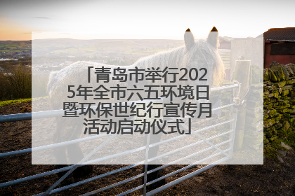 青岛市举行2025年全市六五环境日暨环保世纪行宣传月活动启动仪式