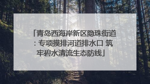 青岛西海岸新区隐珠街道：专项摸排河道排水口 筑牢碧水清流生态防线