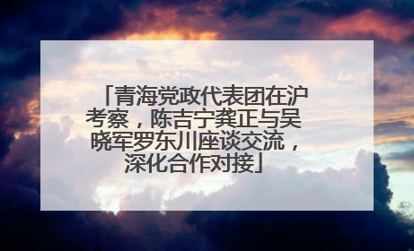 青海党政代表团在沪考察，陈吉宁龚正与吴晓军罗东川座谈交流，深化合作对接