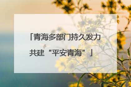 青海多部门持久发力共建“平安青海”