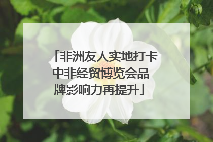非洲友人实地打卡 中非经贸博览会品牌影响力再提升