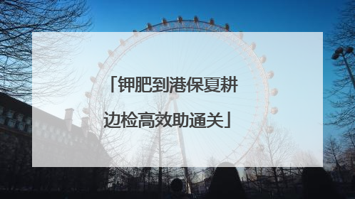 钾肥到港保夏耕 边检高效助通关