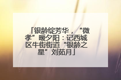银龄绽芳华，“微孝”暖夕阳：记西城区牛街街道“银龄之星”刘茹月