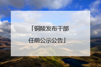 铜陵发布干部任前公示公告