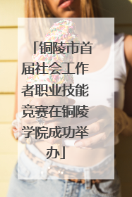 铜陵市首届社会工作者职业技能竞赛在铜陵学院成功举办