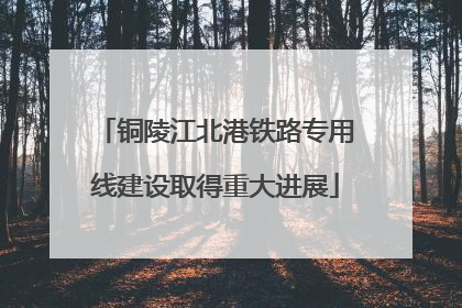 铜陵江北港铁路专用线建设取得重大进展