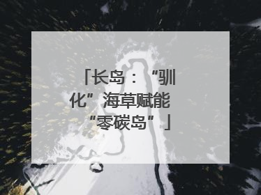 长岛：“驯化”海草赋能“零碳岛”