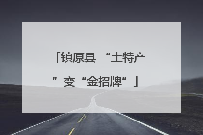 镇原县 “土特产”变“金招牌”