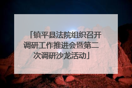 镇平县法院组织召开调研工作推进会暨第二次调研沙龙活动