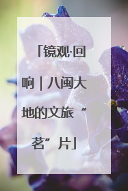 镜观·回响｜八闽大地的文旅“茗”片