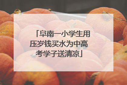 阜南一小学生用压岁钱买水为中高考学子送清凉