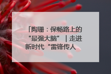 陶珊：保畅路上的“最强大脑”｜走进新时代“雷锋传人 长沙榜样”
