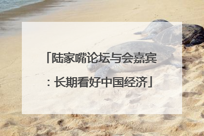 陆家嘴论坛与会嘉宾：长期看好中国经济