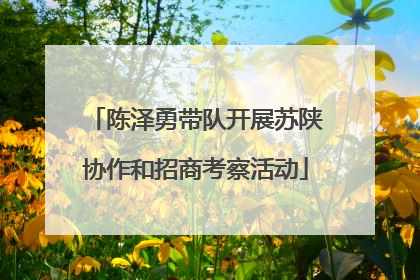 陈泽勇带队开展苏陕协作和招商考察活动