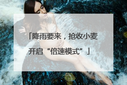 降雨要来，抢收小麦开启“倍速模式”