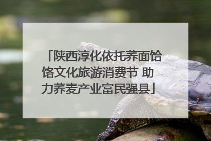 陕西淳化依托荞面饸饹文化旅游消费节 助力荞麦产业富民强县
