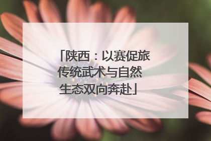 陕西：以赛促旅 传统武术与自然生态双向奔赴
