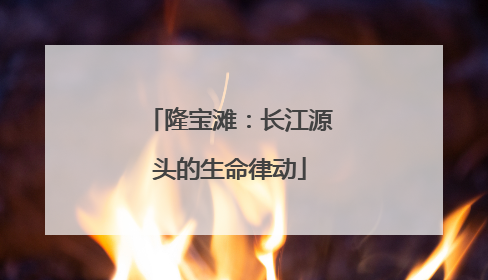 隆宝滩：长江源头的生命律动